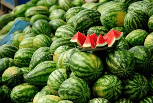 吃瓜都是哪个网红,揭秘吃瓜网红背后的故事