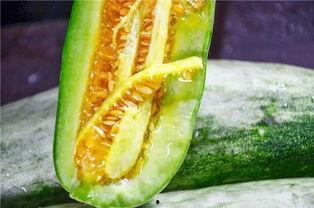 吃瓜都是哪个网红,揭秘吃瓜网红背后的故事