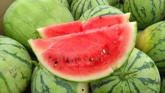 甘肃陇南网红炎阳吃瓜,陇南网红带你领略甘肃特色美食之旅