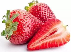 吃瓜爆料打火机,打火机背后的秘密与传奇