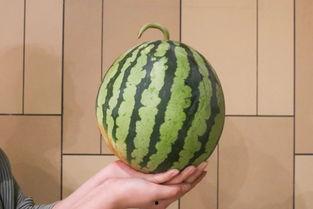 我1吃瓜官网,带你探索美食世界的秘密花园