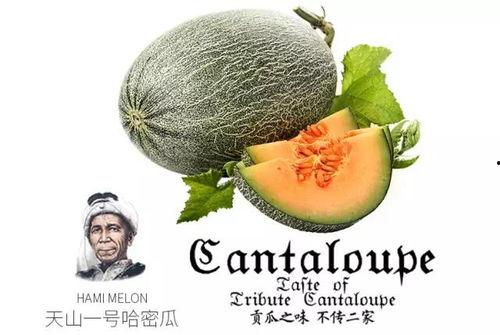 我1吃瓜官网,带你探索美食世界的秘密花园