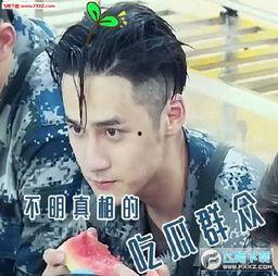 吃瓜群众表情包gif动图下载,吃瓜群众表情包GIF背后的趣味与热议